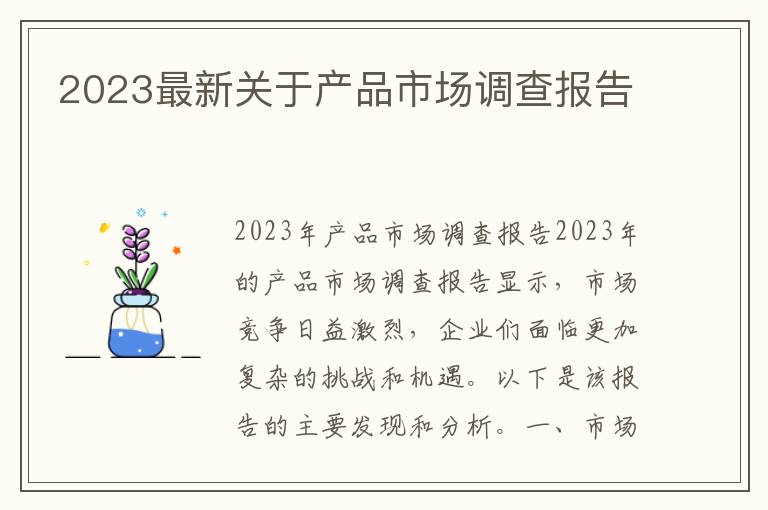 2023最新关于产品市场调查报告