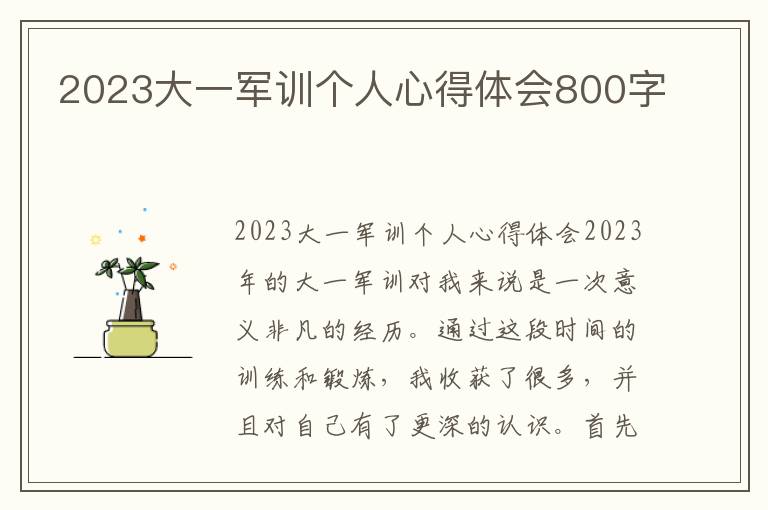 2023大一军训个人心得体会800字