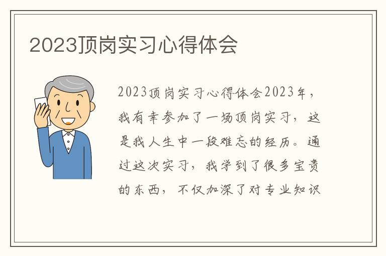 2023顶岗实习心得体会