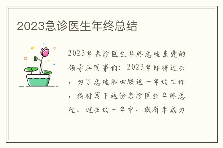 2023急诊医生年终总结