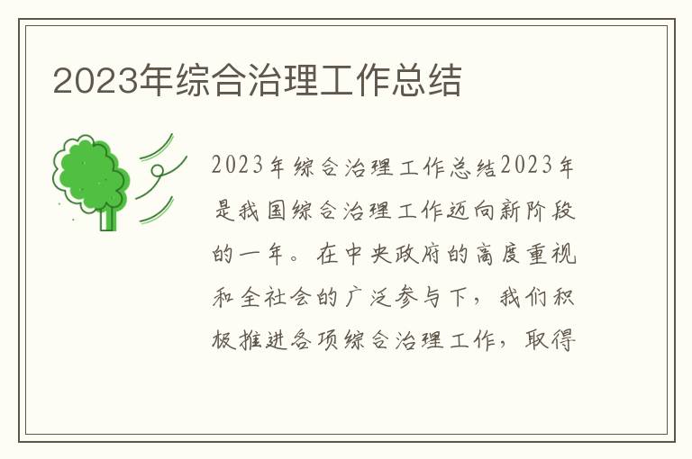 2023年综合治理工作总结