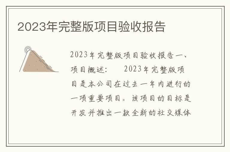 2023年完整版项目验收报告